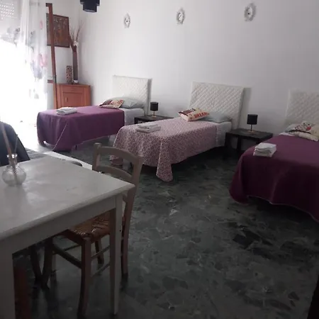 Shanel Apartment