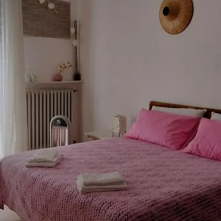 Shanel Apartment
